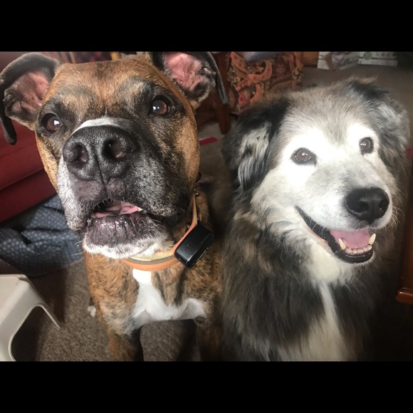 Meet your Posher, Lisa - Picture 1 of 1